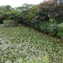 길스가든더로드 101 이미지