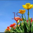 고니세탁소 이미지