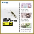 더위캔