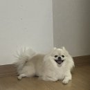 웅이연탄구이 이미지