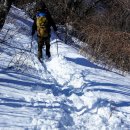 휴양림길 이미지