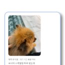 백두산동물병원 이미지