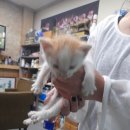 성진동물병원 이미지