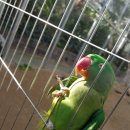 경주버드파크 이미지