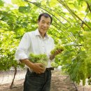 한사랑농장 이미지