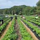 괴산군농업기술센터 이미지