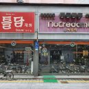노틀담&바이슨