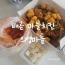 (배곧 치킨 맛집) 의성마늘이 듬뿍 들어간 마늘치킨 [내돈내산]