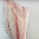 횟감으로 드세요!! 활 특大갑오징어/대물 감성돔/새조개살/자연산 백합/참소라/뻘낙지/자연산 배말 이미지