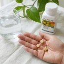 비결농장 | 암웨이 아세로라 C 솔직 후기, 활력 넘치는 하루의 비결!