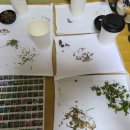 의인농장 이미지