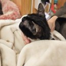 집사의 하루 건대점 이미지