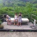 청수정가든 이미지