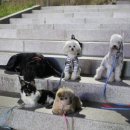 아리랑하우스 이미지