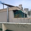 신정로 이미지