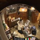 영덕상회 이미지