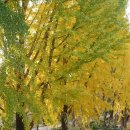 독산1동주민센터 나눔교실2 | [우쥬 WOODS-YOU] 25년 11월호