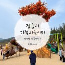 2023 11월 광주상설공연 | 광주 근교 아이랑 가볼만한 곳 정읍 기적의놀이터 무료로 하루 해결했어요