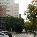 가톨릭보령당약국 Daum카페