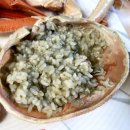 파도대게 이미지