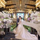 더브리앙뜨 이미지