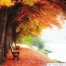 대구코앤키한의원 이미지