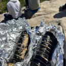 오월의김밥