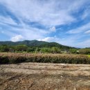 명암지석묘군 이미지