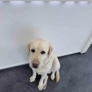 한걸음 컴퍼니 이미지