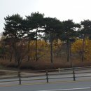 미래이비인후과의원 이미지