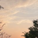 구석기체험숲3 이미지