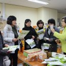 영농조합법인한라산성암영귤농원 이미지