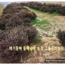 동백농산