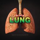폐의 구조와 기능 이미지