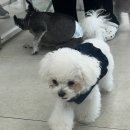 우하하 네이버블로그
