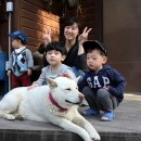 드리밍하우스 이미지