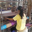 유일농장2 이미지