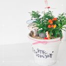열매국공립어린이집 이미지