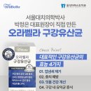 더퍼스트치과의원 음성점 네이버블로그