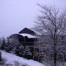 양지카운티 이미지