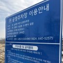 남대천강릉교밑 네이버블로그