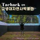 한국고건축박물관(휴관) | 강원도 태백 아이와 가볼만한곳 고생대자연사박물관