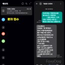 티볼리 에어(2018) - 자동차 번호 변경 없이 훼손된 번호판(앞)만 재발급 후기 (강서구청)