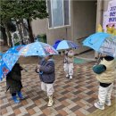 시립구성어린이집 | 부모님도 안심할 수 있는 사랑 가득한 시립백현어린이집, 좋은어린이집 찾는다면 여기가 딱!