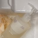 올뉴바디 | 향기에 진신임 브랜드가 만든 바디워시, 르주르 꼴로레 뉴 웨이브 올데이 사용후기