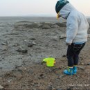 라메르 갯벌 이미지