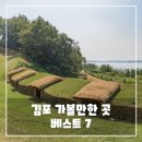 어시장(오동동문화광장방면) | 김포 가볼만한곳 베스트 7 - 여행지 추천 리스트