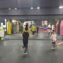 링 종합격투기 이미지