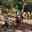 소새울어린이집 이미지