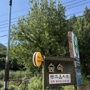 숲속공간식당 | 대구 숲속식당 계곡 평상 후기｜아이와 가기 좋은 여름 맛집 내돈내산(피크닉장)
